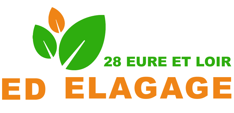 elagage-elfrick-desire-elagage-28